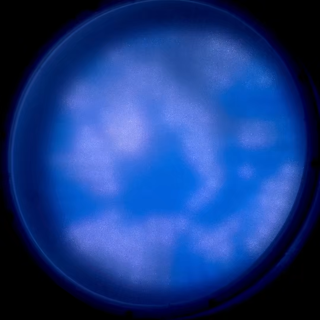 First frame of "Clouds, then Pleamar"